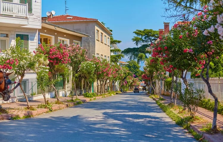 جزایر پرنس