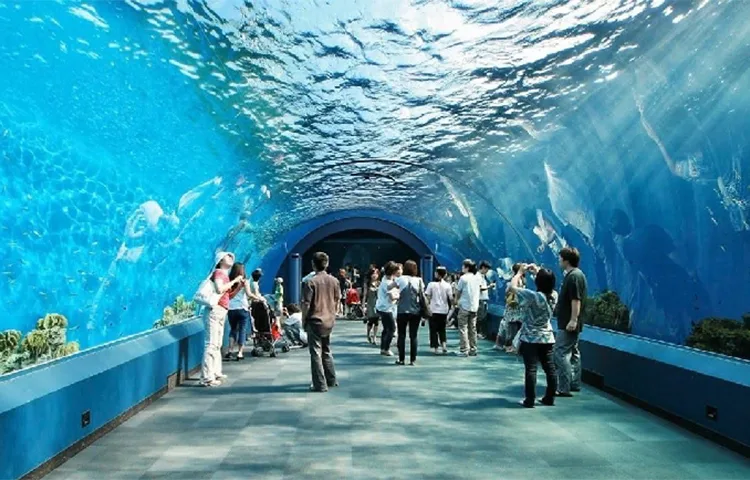 دنیای زیر اب پاتایا