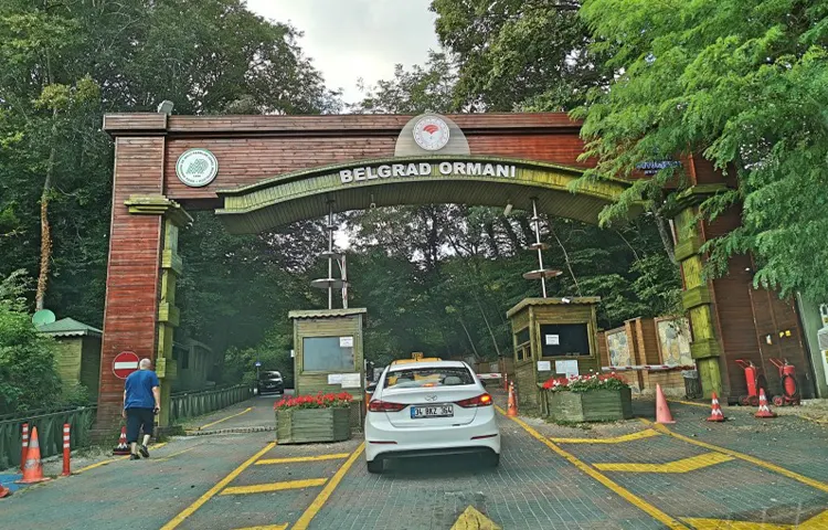 جنگل بلگراد