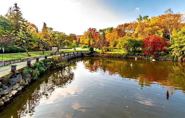 ساحل کیلیوس استانبول