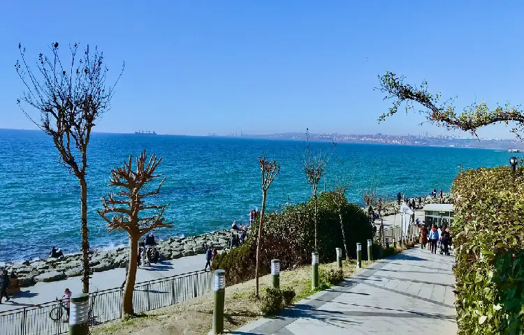 ساحل فلوریا
