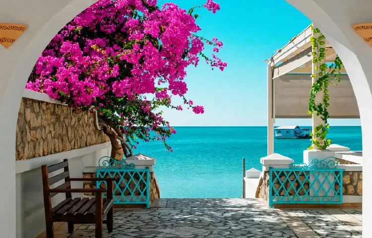 سفر به تونس در بهار