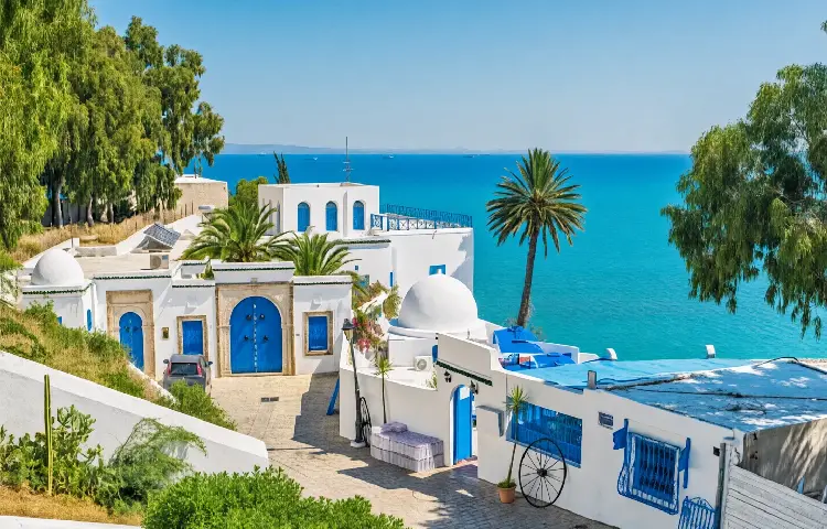 سفر به تونس در تابستان 