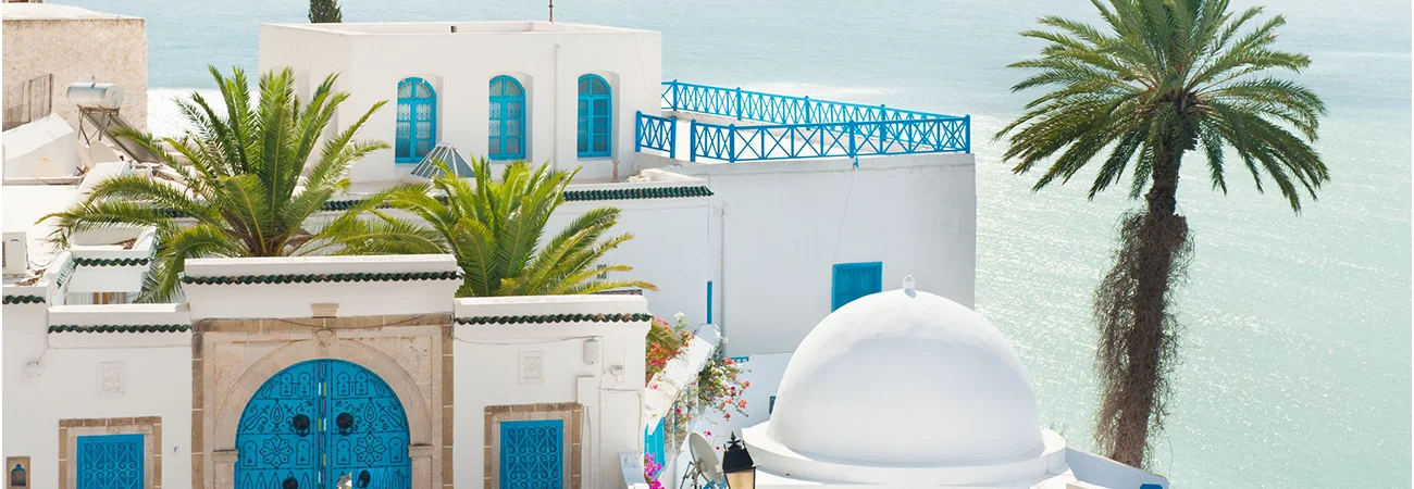 جاهای دیدنی تونس که نباید از دست بدهید!