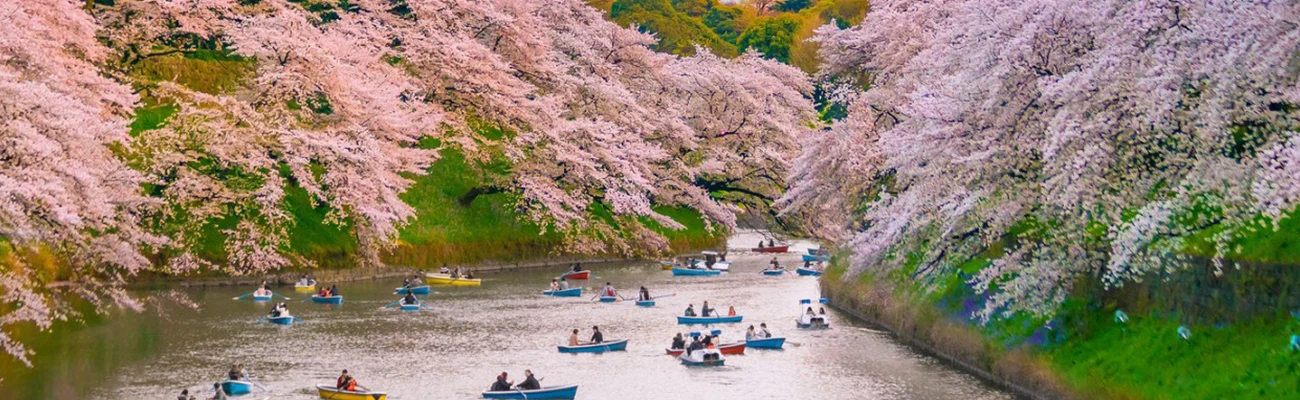 جاهای دیدنی توکیو؛ ترکیب سنت ژاپنی و مدرنیته جهانی