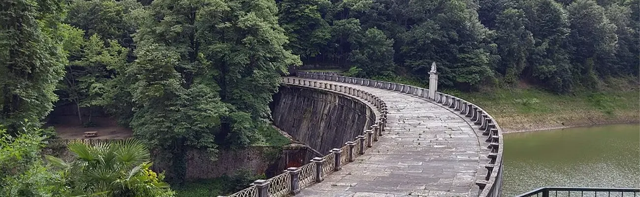 جنگل بلگراد؛ پناهگاهی سرسبز و آرامش‌بخش در حومه استانبول